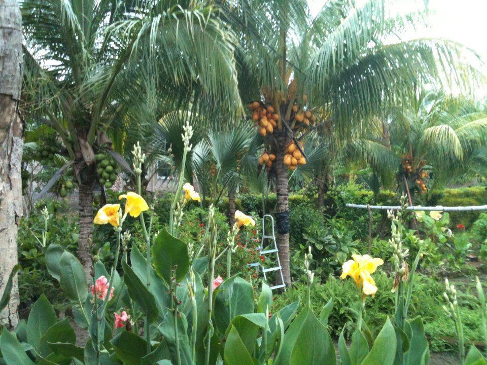 Hotel El Mirador Ecologico, Ometepe Altagracia Esterno foto
